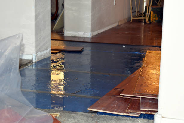 Professional Burst Pipe Cleanup technician working in Fountain, NC